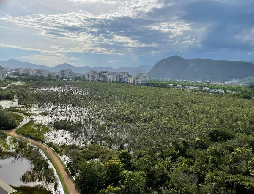 Cobertura à venda com 3 quartos, 320m² - Foto 6